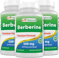Best Naturals Berberine 500mg – 120 Capsules (Pack of 3) | Immune, Cardiovascular & GI Support