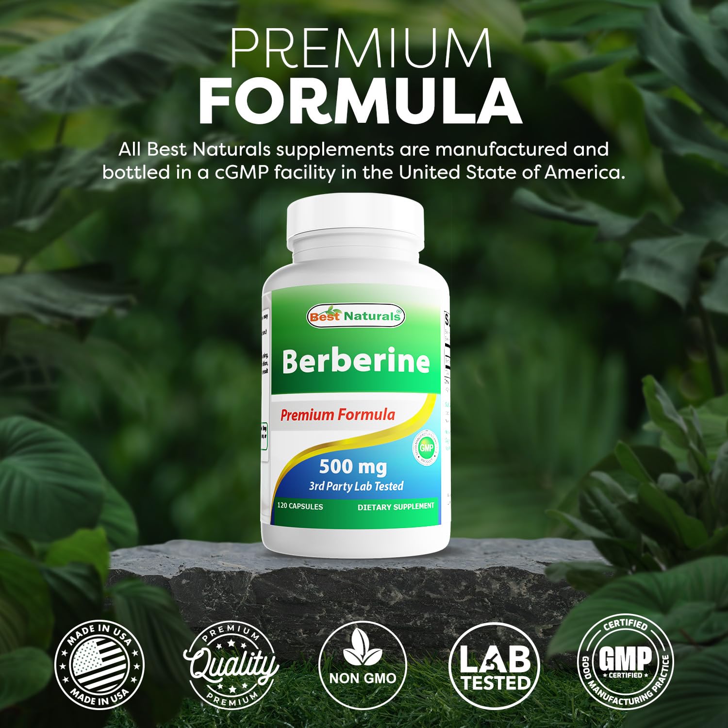 Best Naturals Berberine 500mg 120 Capsules – Immune, Cardiovascular & GI Support (Pack of 2)