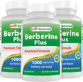 Best Naturals Berberine Plus 1000 mg/Serving - 120 Capsules (120 Count Pack of 3)
