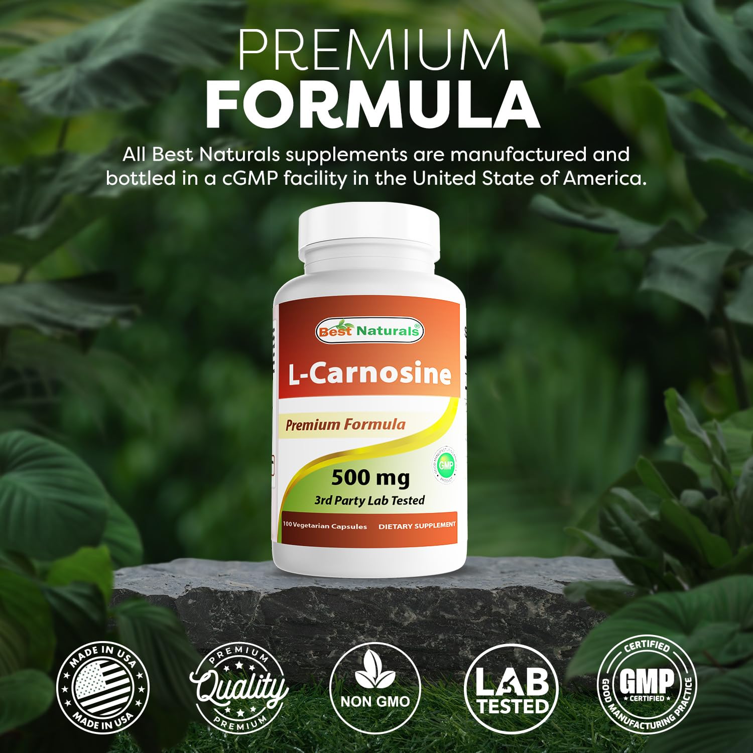 Best Naturals L-Carnosine 500 mg – 100 Vcaps (Pack of 3)