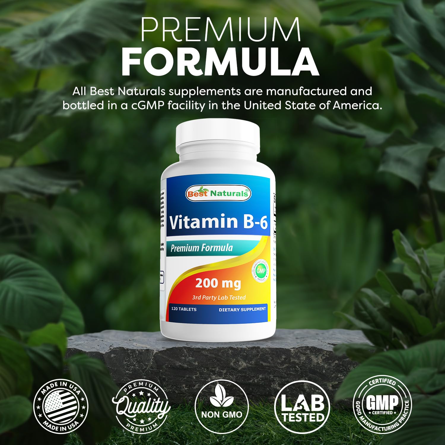 Best Naturals Vitamin B6 200mg for Adults - 120 Tablets (Pack of 2)