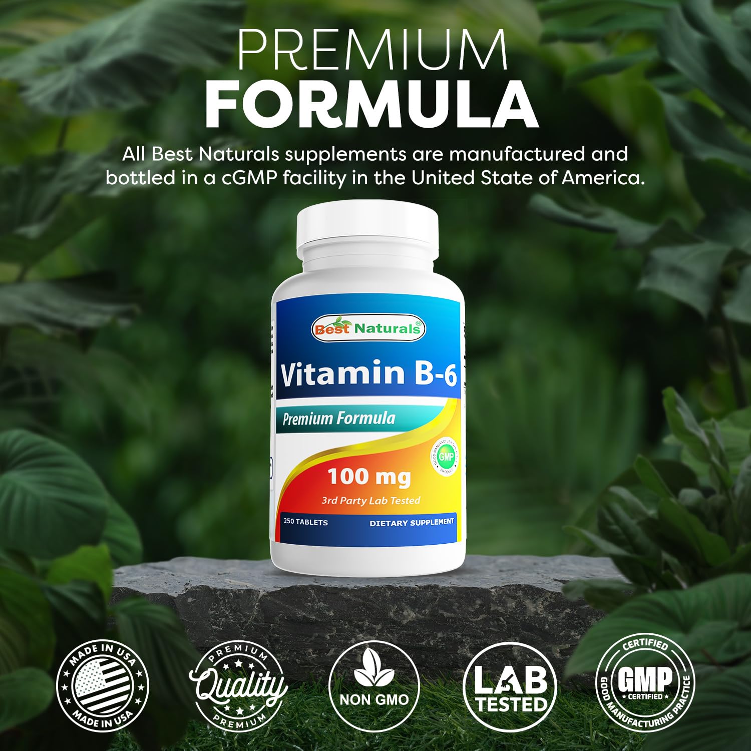 Best Naturals Vitamin B6 Tablet 100 mg - 250 Count Pack of 2 | Non-GMO & Gluten-Free | Made in USA