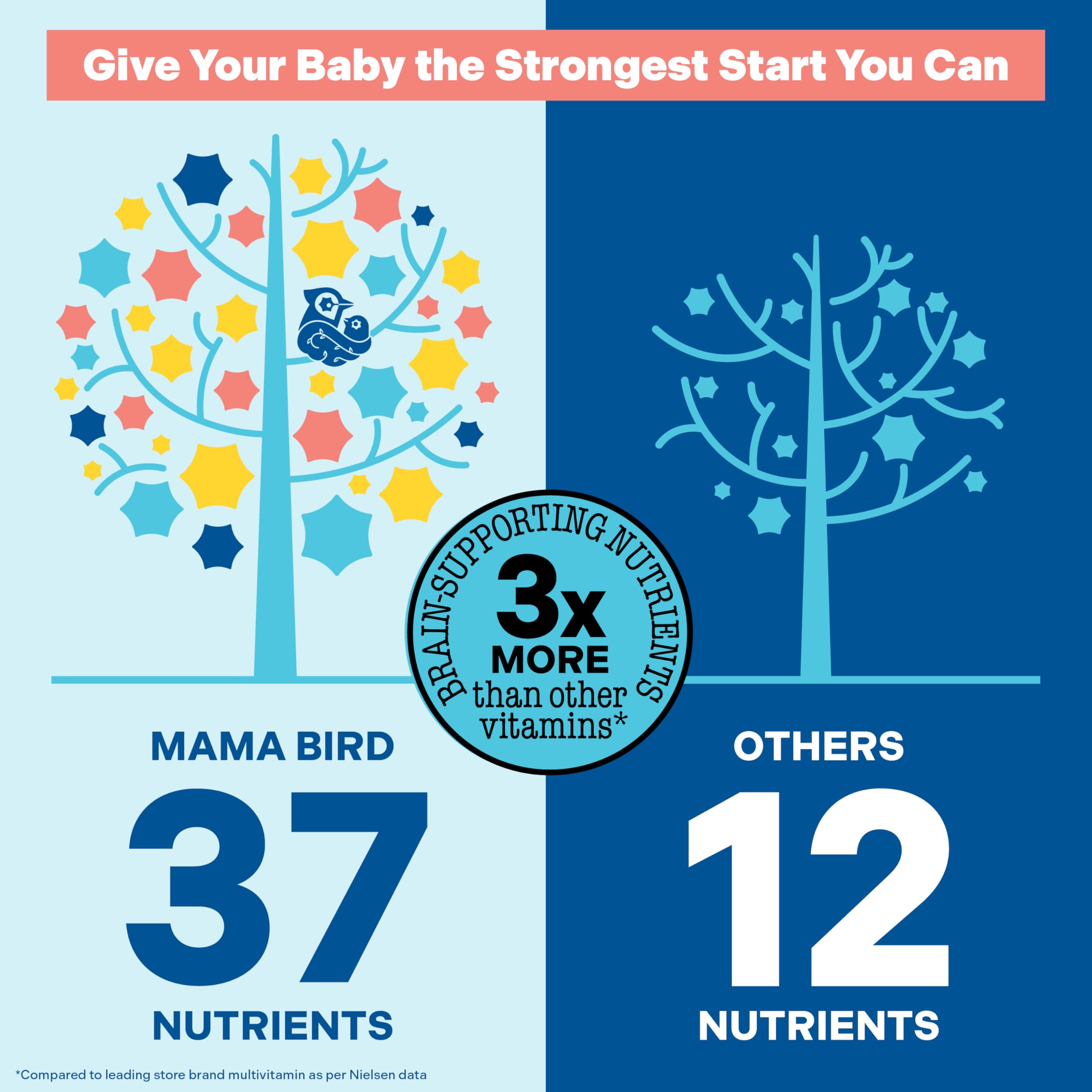 Mama Bird Prenatal Multi+ | Best Nest Wellness – 30+ Nutrients for Baby Brain Health (Vegan, Gluten Free)