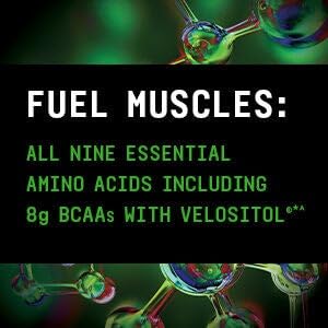 BEYOND RAW Precision Amino | Recovery & Power Amino Acid Formula | Peach Mango Tea | 25 Servings