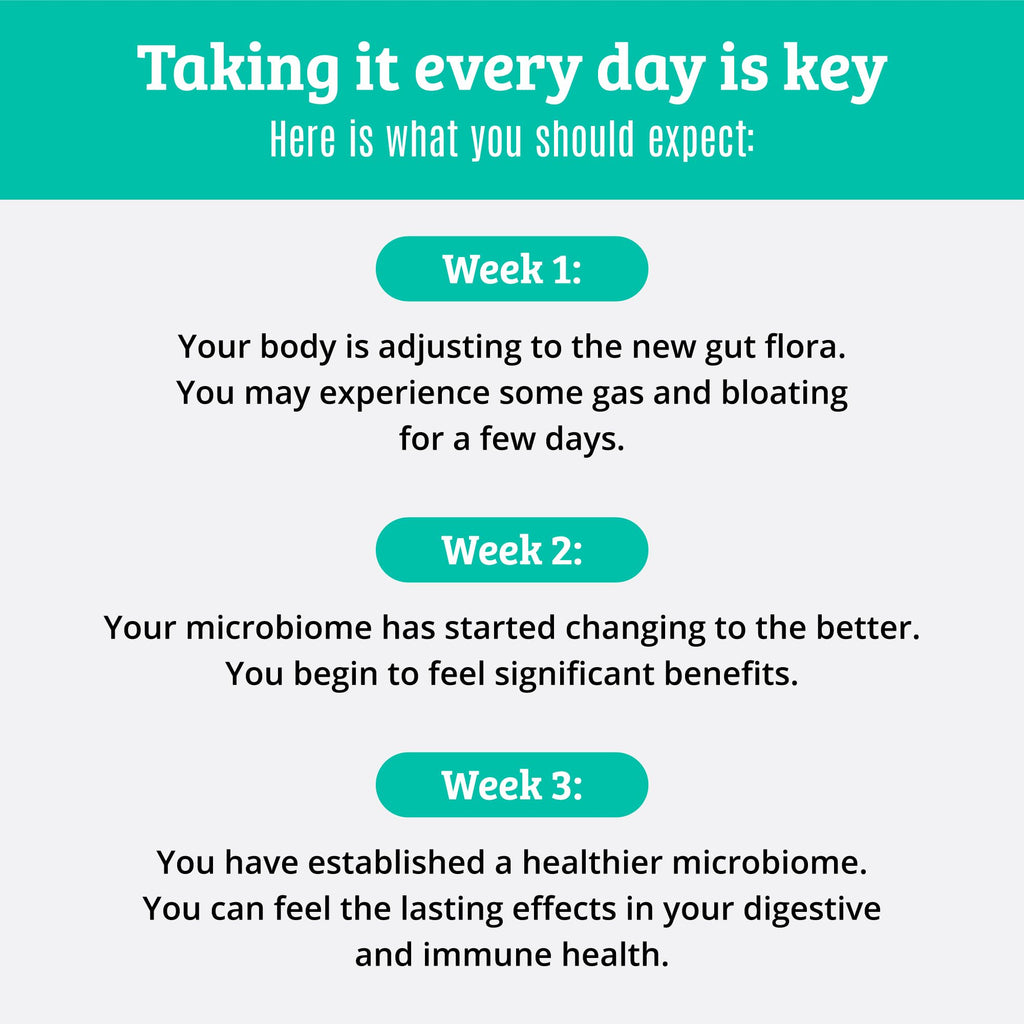 Prebiotics & Probiotics for Digestive Health | 15 Strains, 50B CFU