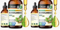 BIO KRAUTER Ashwagandha Liquid Drops – Calm Mood Support, Vegan, Alcohol & Sugar Free, 4 oz (Pack of 2)