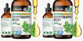 BIO KRAUTER Cryptolepis Sanguinolenta Extract — Vegan Immune Support Tincture, 4 Fl Oz (Pack of 2)