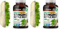 BIO KRAUTER Stinging Nettle Capsules 1200 mg – 250 Urinary Tract & Overall Support Caps – Nettle Root Powder (Urtica Dioica) – Non-GMO – Pack of 2