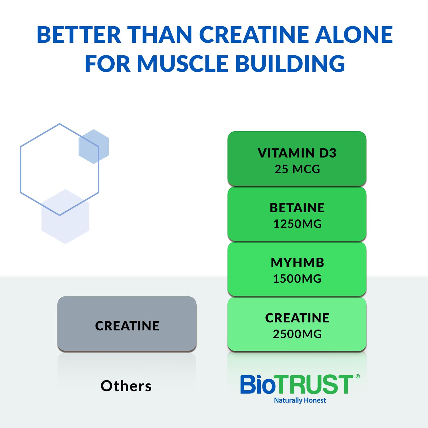 BioTrust Ageless Muscle Builder – Creatine HMB Powder with Vitamin D3 & Betaine | Citrus Splash
