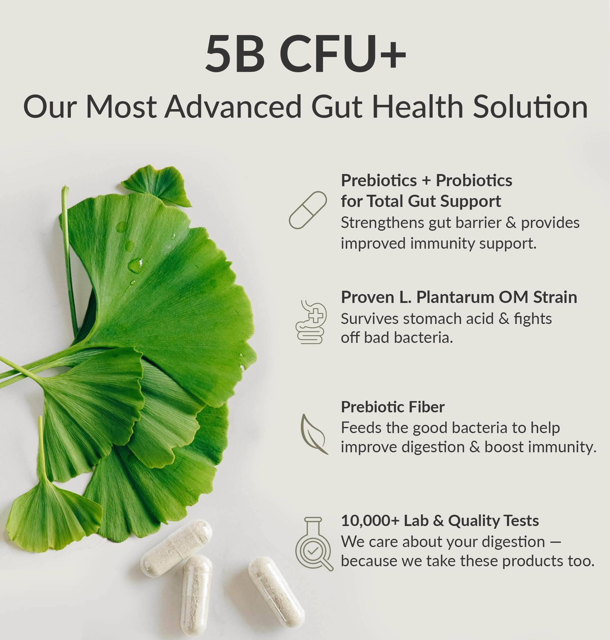 BIOptimizers Probiotic Breakthrough – Lactobacillus Plantarum OM Probiotics & Prebiotics for Gut, Digestive & Immune Support | 60 Vegan Capsules