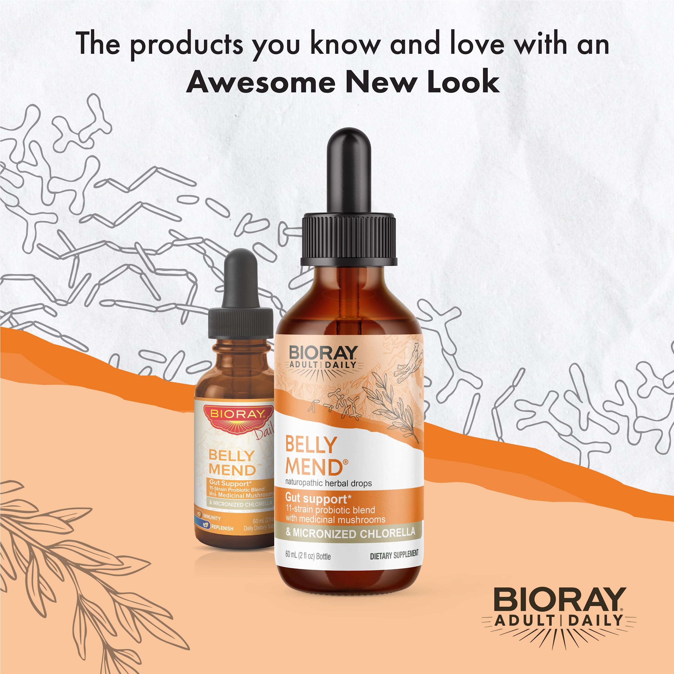 BIORAY Daily Belly Mend - 2 fl oz | 11-Strain Probiotic + Medicinal Mushrooms