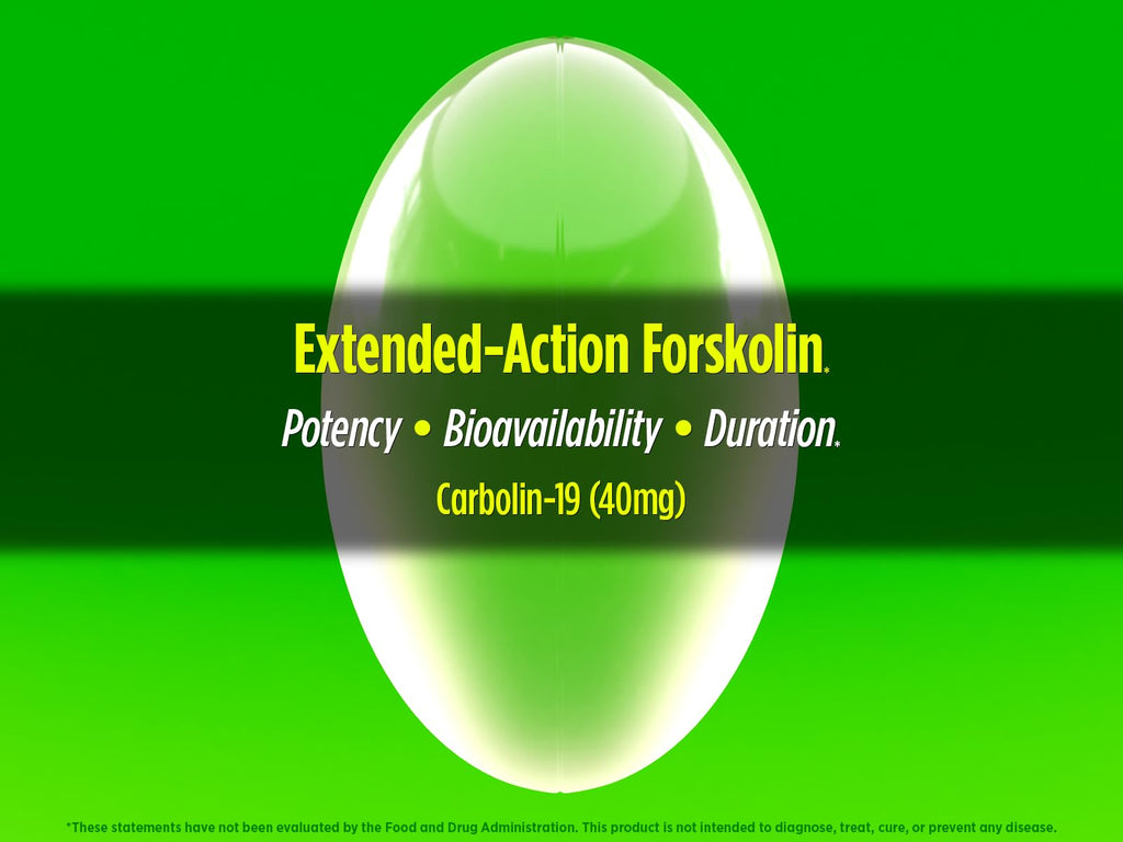 Biotest Carbolin 19 – Long-Lasting Forskolin for Fat Metabolism & Performance, 60 Softgels