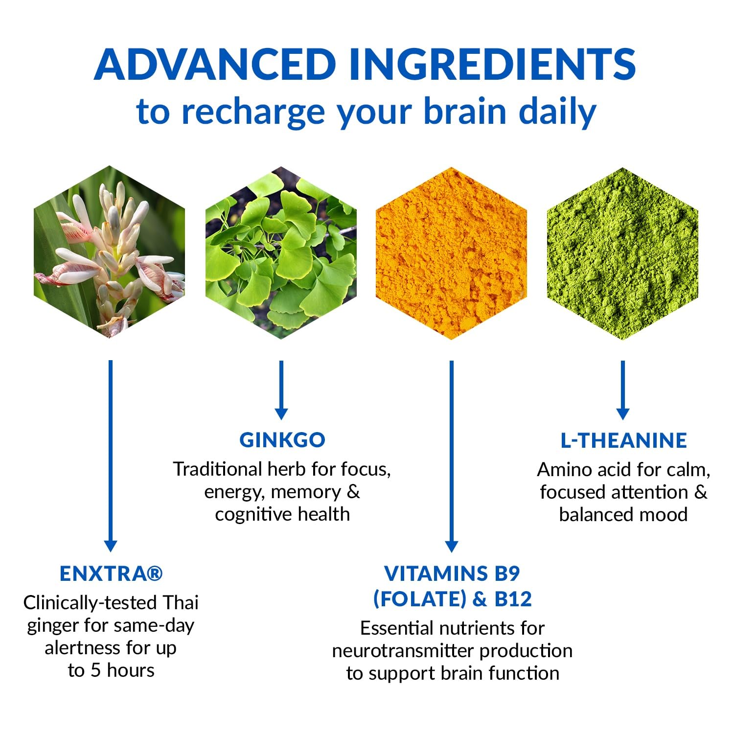 BioTrust Brain Bright – Daily Nootropic Boost for Focus, Concentration, Mental Clarity – Caffeine Free Nootropics Brain Support Supplement – Thai Ginger, Ginkgo, Folate, L-Theanine – 30 Servings