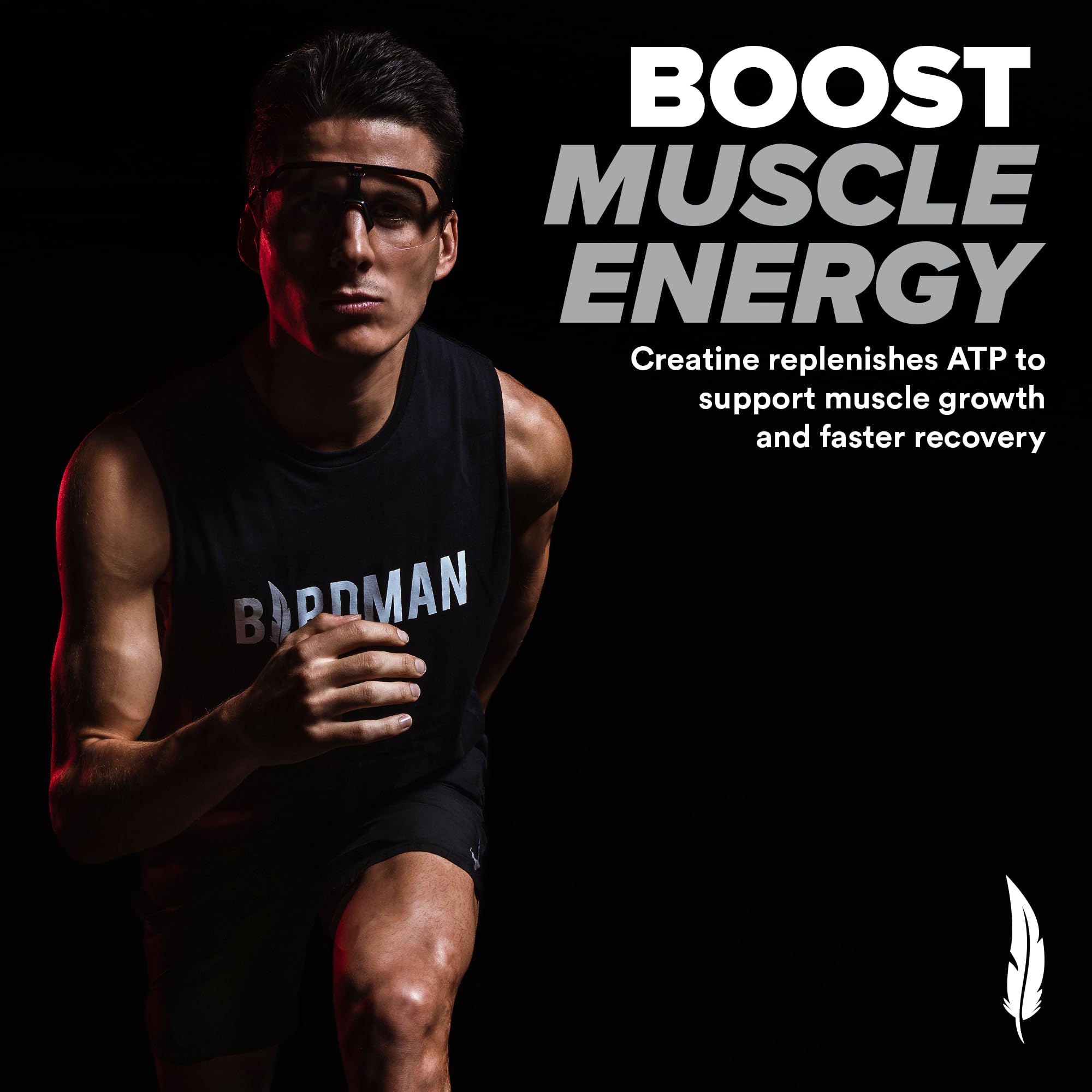 BIRDMAN Micronized Creatine Monohydrate Powder – 80 Servings (5g) | Vegan, Gluten Free, Sugar Free | 0.8 lb