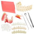 BJDTY DIY Denture Kit – Partial & Full Dentures with Tool Kit & Temporary Teeth
