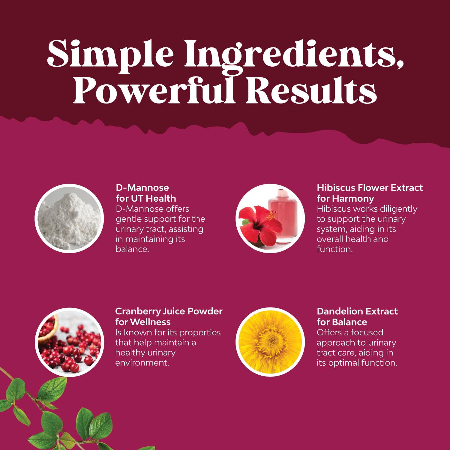 D Mannose with Cranberry - 1000mg D Mannose Capsules for Kidney Defense, Urinary Tract Health & Bladder Support - 60 Count