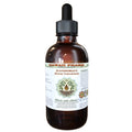 Bladderwrack Alcohol-Free Liquid Extract (Fucus Vesiculosus) – Hawaii Pharm Glycerite 2 oz