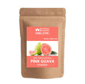 Blessfull Healing Organic Pink Guava Powder – 100% Pure & Natural, 100 g (3.52 oz)