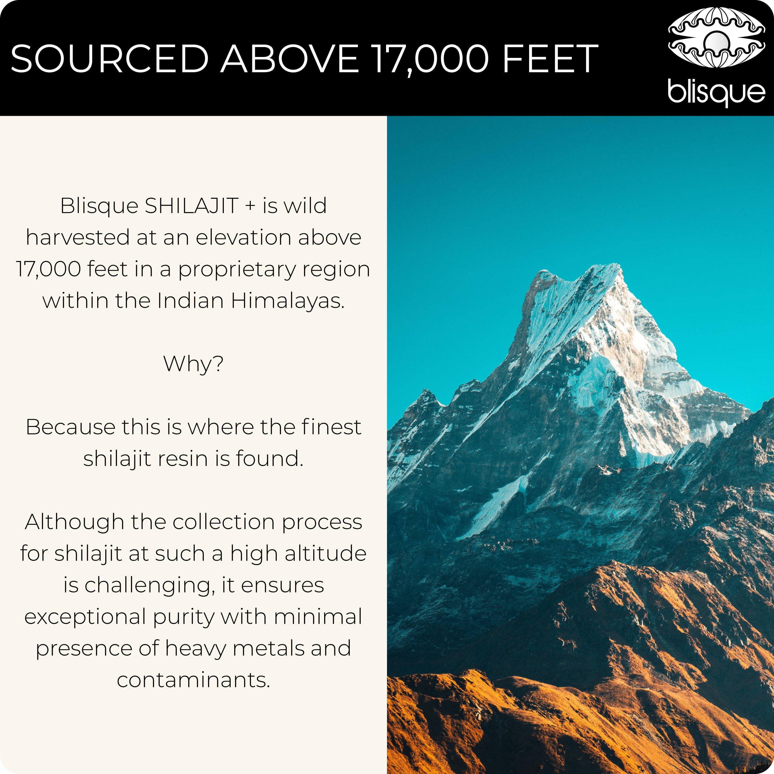 Blisque Shilajit Resin - Organic Himalayan Supplement for Women’s Health | 60g