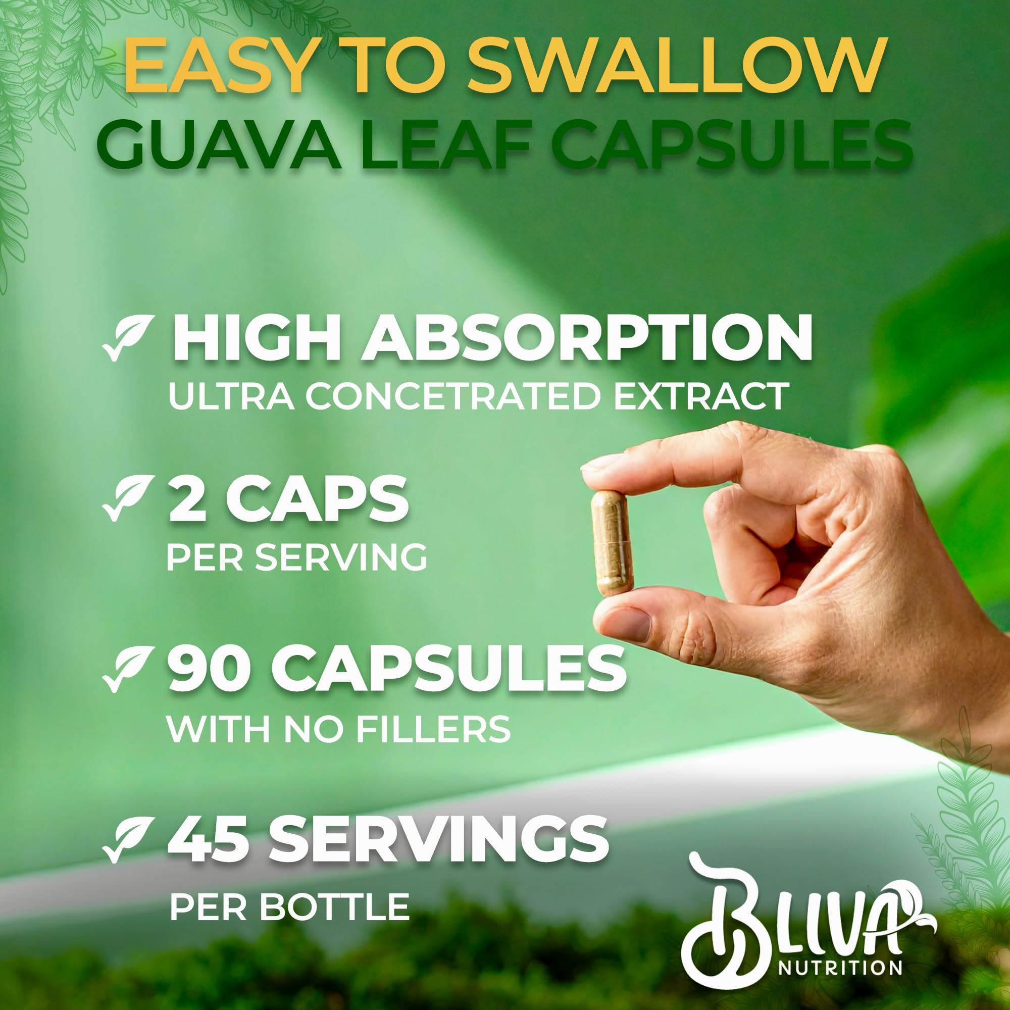 BLIVA Guava Leaf Extract Capsules – 1000 mg (10:1) – 90 Vegetarian Capsules