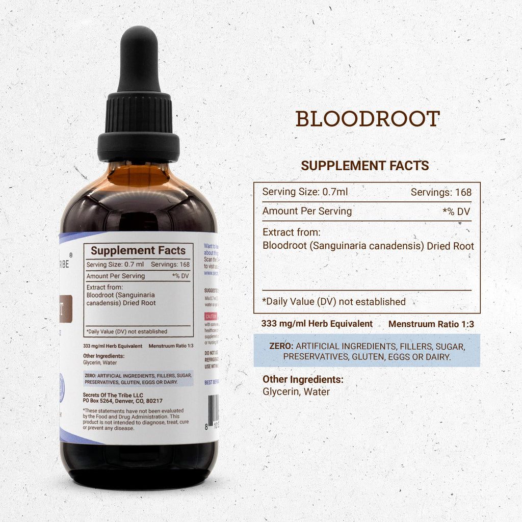 Secrets of the Tribe Bloodroot Alcohol-Free Tincture Extract – 4 fl oz
