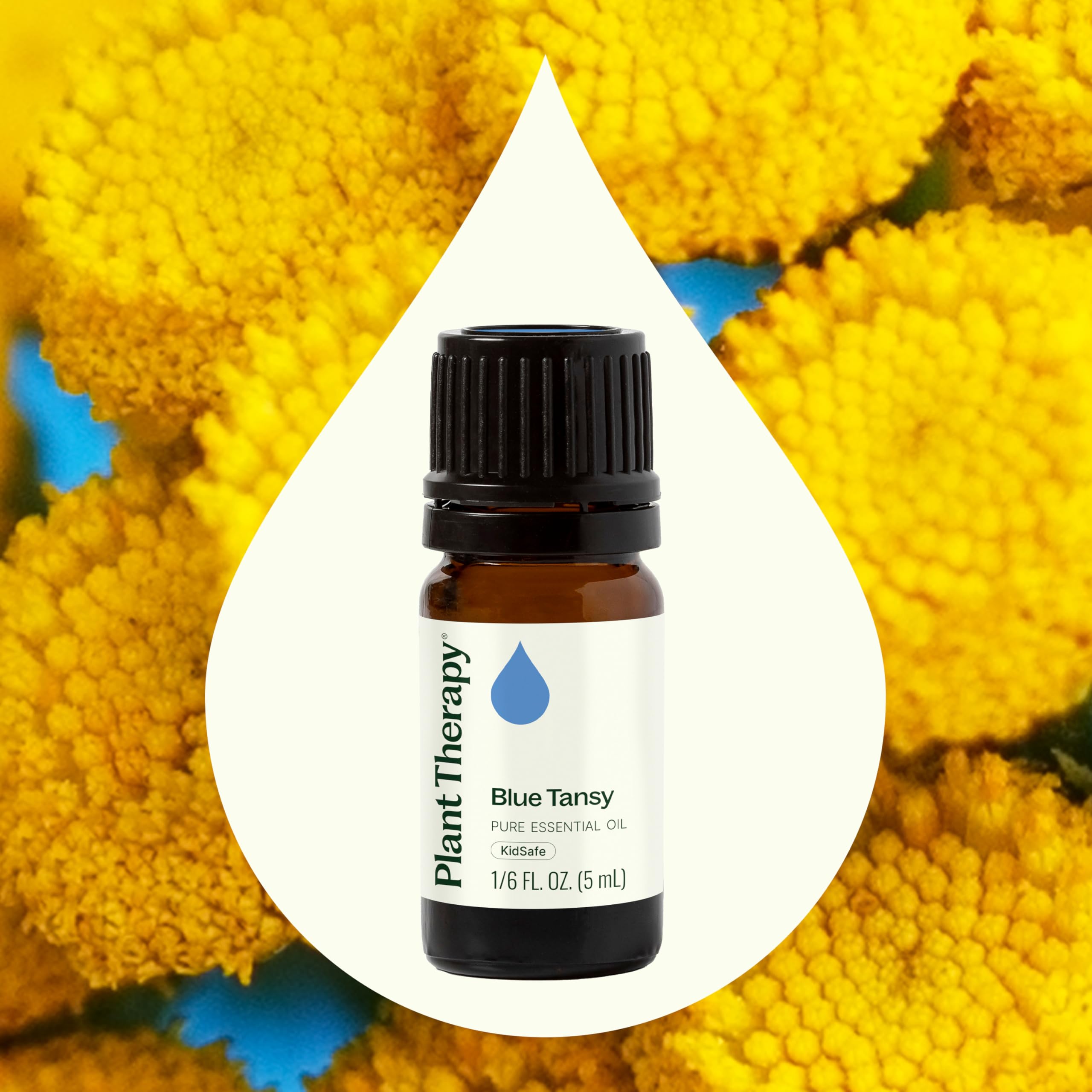 Plant Therapy Blue Tansy Essential Oil 5 mL (1/6 oz) | 100% Pure & Undiluted