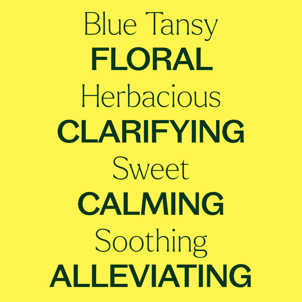 Blue Tansy Essential Oil 100% Pure – Plant Therapy 10 mL (Therapeutic Grade)