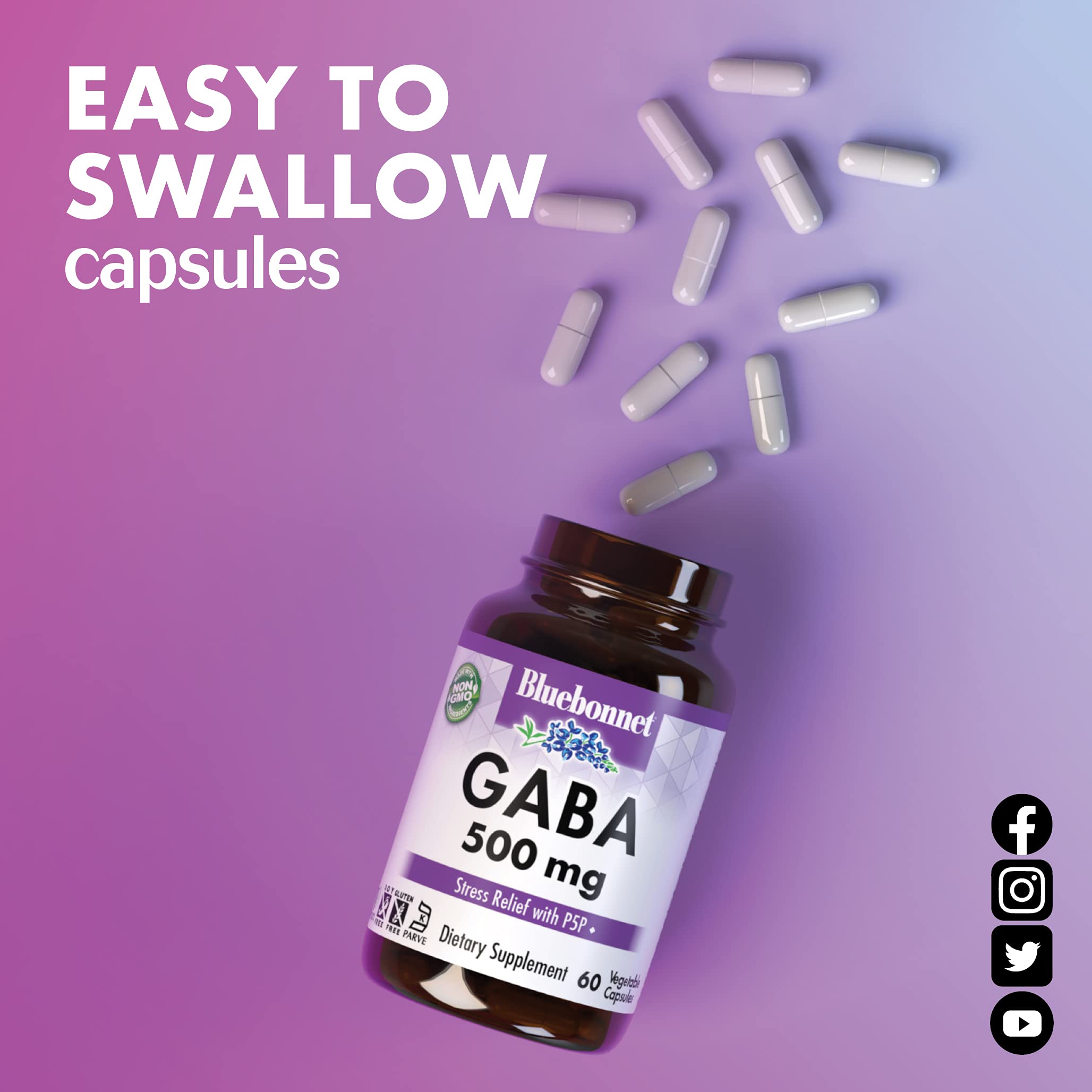 BlueBonnet GABA 500mg – Stress Relief & Relaxation | 60 Veg Capsules | Kosher, Vegan