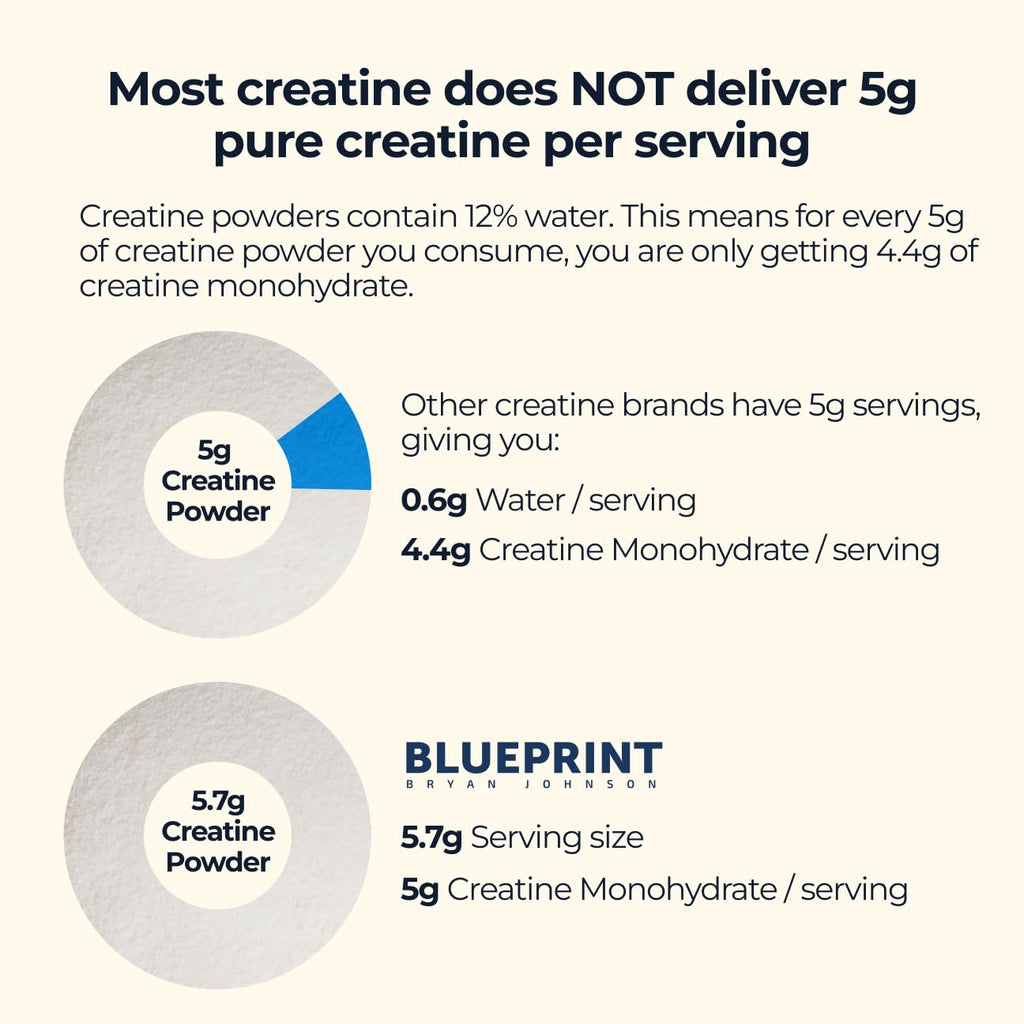 Blueprint Bryan Johnson Creatine Monohydrate Powder – Unflavored, 5g Dose, 100 Servings