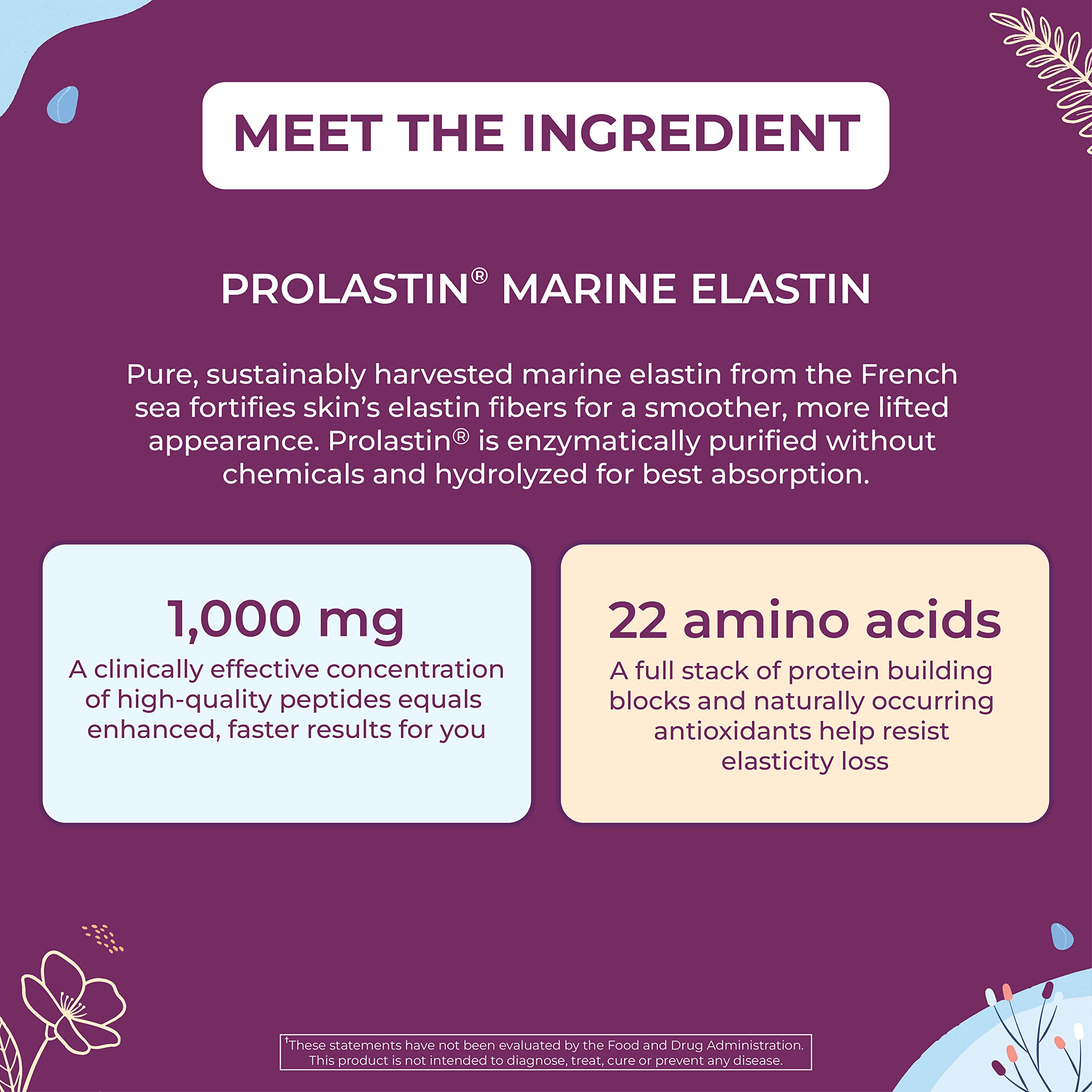 Body Kitchen Pro-Elastin 1000 mg Elastin Supplement – 3-Pack for Skin Elasticity and Firmness