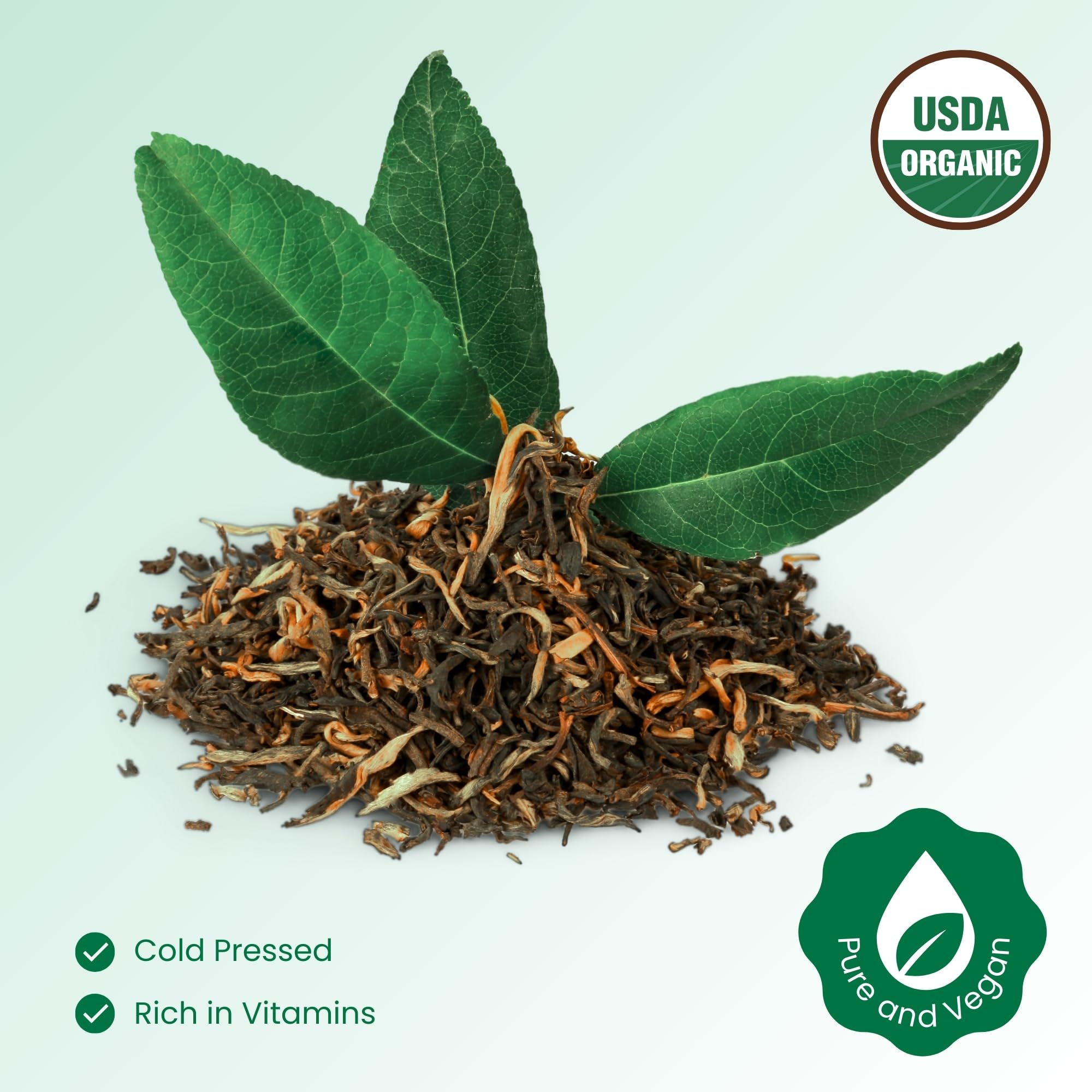 BodyJ4You Pure Tea Tree Oil – 100% Natural USDA Organic Essential Oil 1 Fl Oz