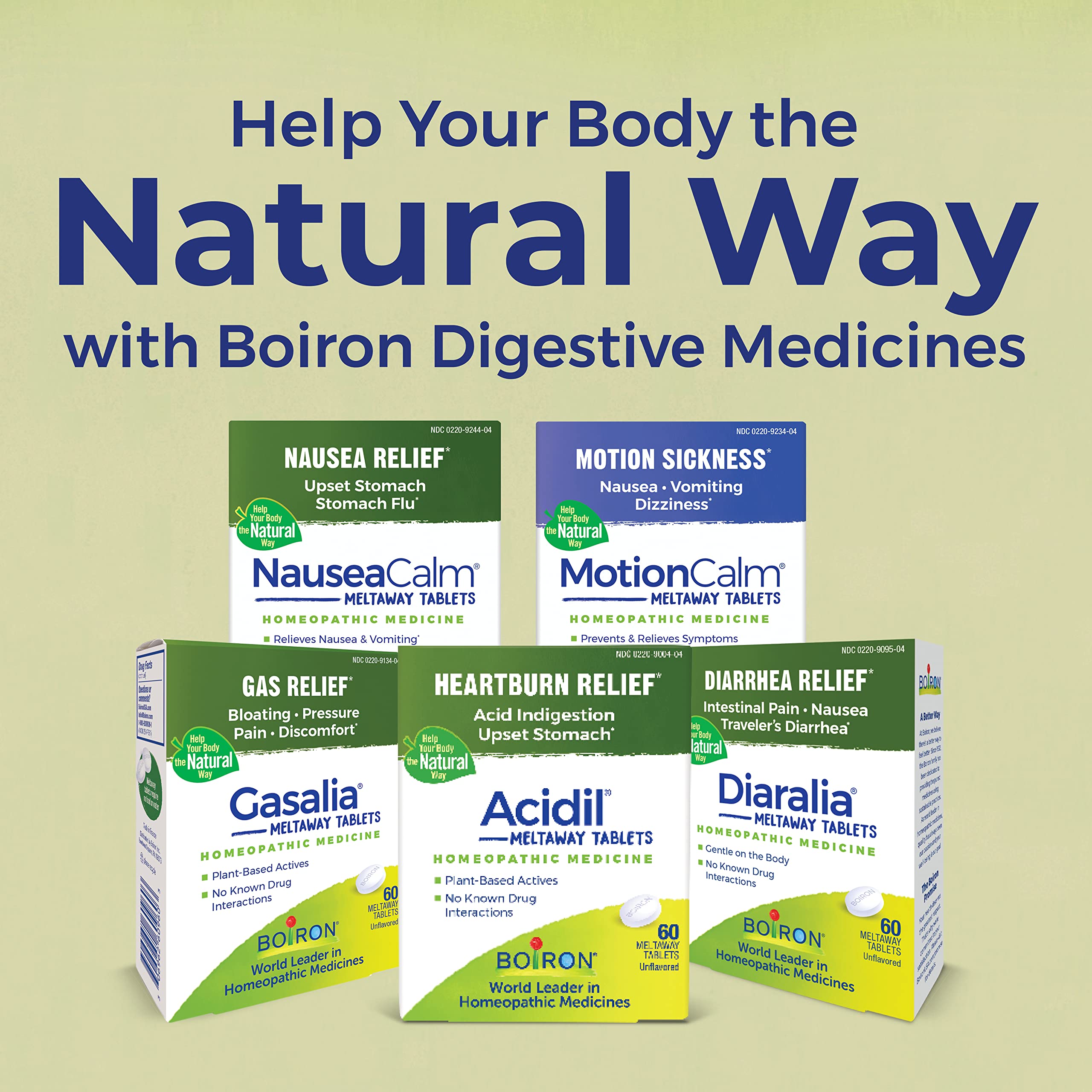 Boiron Acidil Meltaway Tablets – Quick, Water-Free Heartburn Relief (120 Count, 2-Pack)