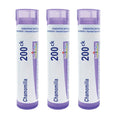 Boiron Chamomilla 200Ck – Irritability, Restlessness & Sleep Support (Pack of 3, 240 Pellets)