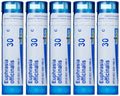 Boiron Euphrasia Officinalis 30C (Pack of 5) – Eye Discharge Homeopathic Medicine