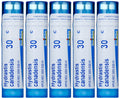 Boiron Hydratis Canadensis 30C 5-Pack Pellets – Postnasal Drip (Homeopathic)