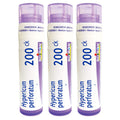 Boiron Hypericum 200CK Nerve Pain Homeopathic Medicine - Pack of 3 (240 Pellets)