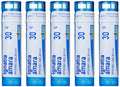 Boiron Ignatia Amara 30C – Homeopathic Stress Medicine (Pack of 5)