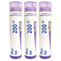 Boiron Rhus Toxicodendron 200CK - Joint Pain Homeopathic Medicine (Pack of 3, 240 Pellets)