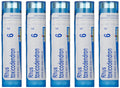 Boiron Rhus Toxicodendron 6C – 5-Pack, 80 Pellets | Joint Pain Relief