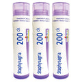 Boiron Staphysagria 200CK – Homeopathic Medicine for Itching of Surgical Wounds (Pack of 3, 240 Pellets)