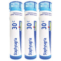 Boiron Staphysagria 30C – Itching of Surgical Wounds, Pack of 3 (240 Pellets)