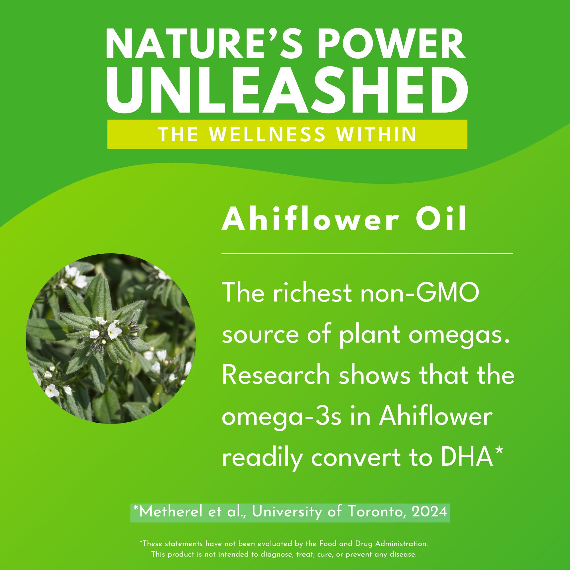 Bold Botanica Plant Omega 3-6-9 with Ahiflower Oil – Vegan, Non-GMO, 4 oz