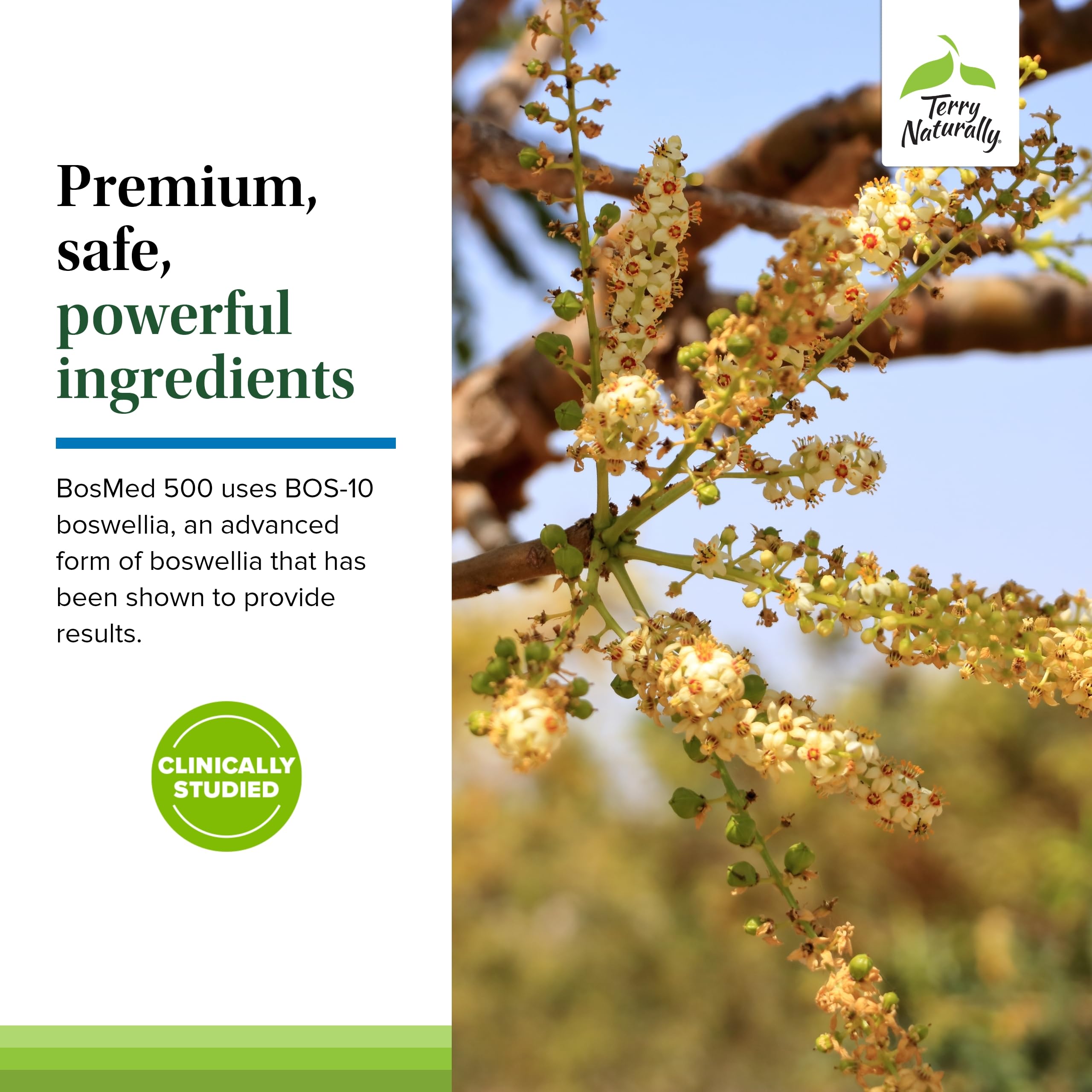 Terry Naturally BosMed 500 Extra Strength Boswellia Softgels for Lung Support | AKBA-Rich Boswellia Serrata, 120 Softgels