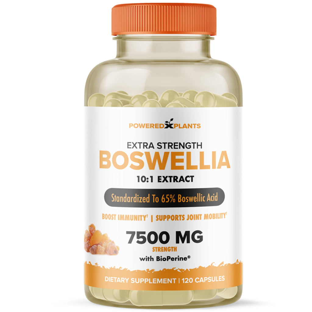 Boswellia Serrata Extract Joint Support – Powered by Plants | 65% Boswellic Acids + BioPerine | 120 Vegan Capsules