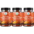 Boswellia + Turmeric Capsules 500 mg – Joint & Immune Health Support (90 Count, 3-Pack)