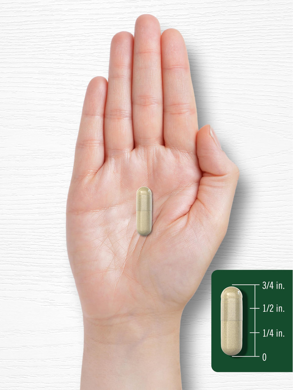 Carlyle Psyllium Husk Capsules 1600mg – 200 Count | High Potency Fiber