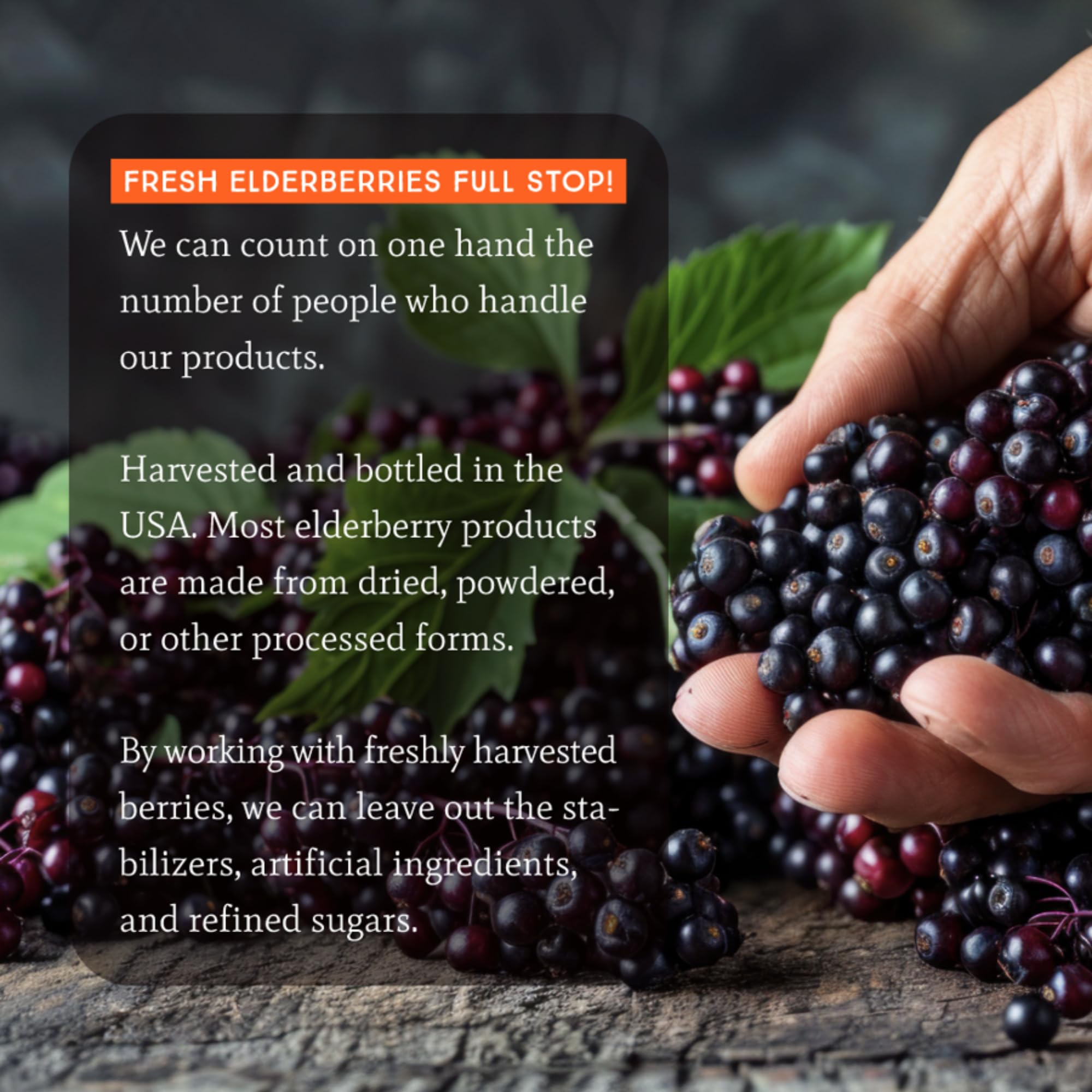 Dr. Appleseed's Organic Elderberry Syrup Max Strength 28,000mg – 8 Fl Oz (48 Day Supply)