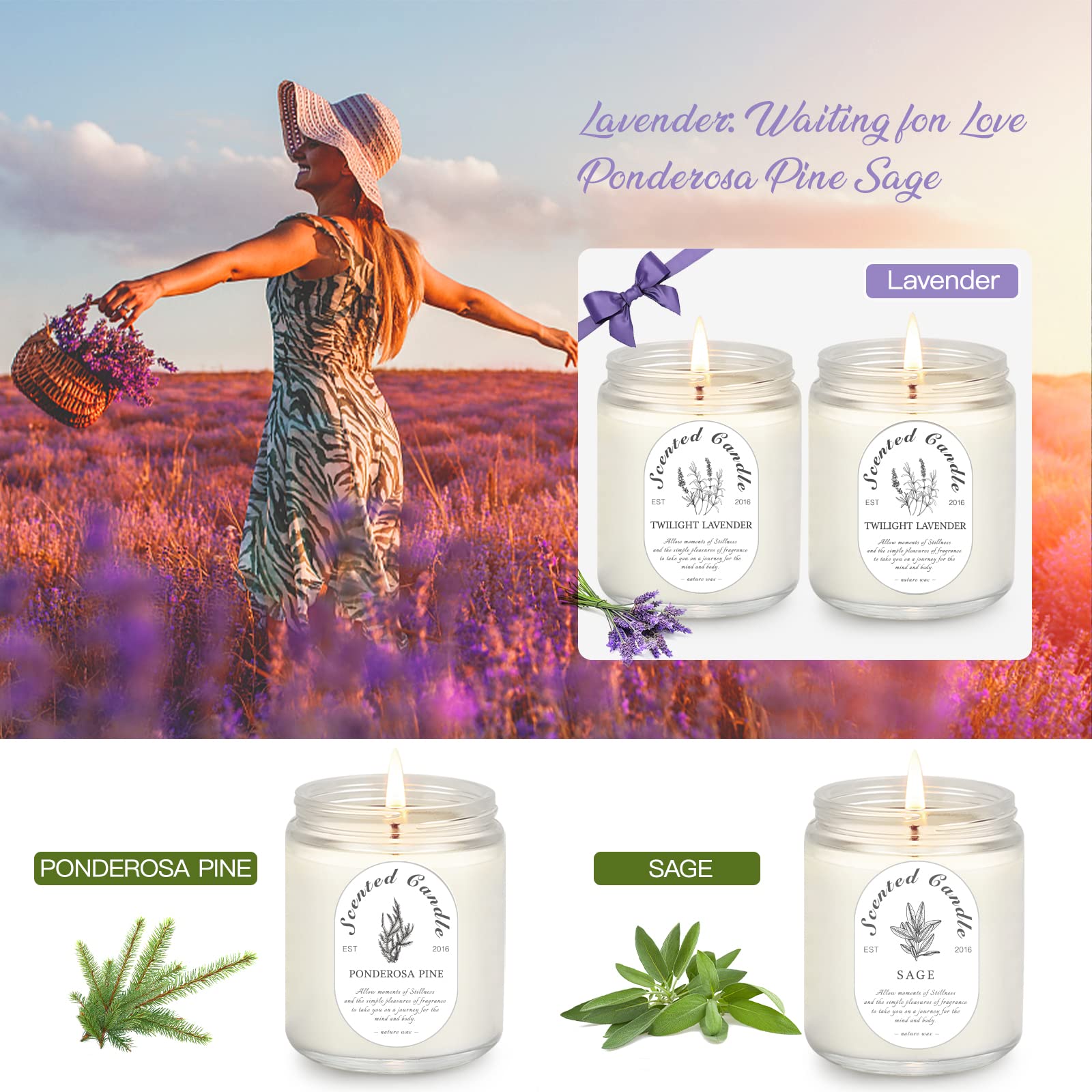 Lavender Candle Gift Set 4-Pack | Soy Wax Aromatherapy Candles for Relaxation & Christmas Gifts