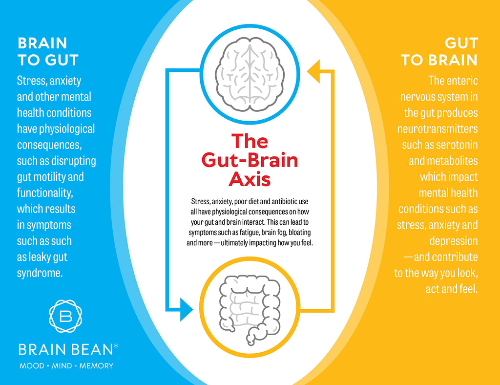 Brain Basics Ultra Pure IgG Supplement – Dairy-Free IgG-Immunolin Powder, 150g, 60 Servings