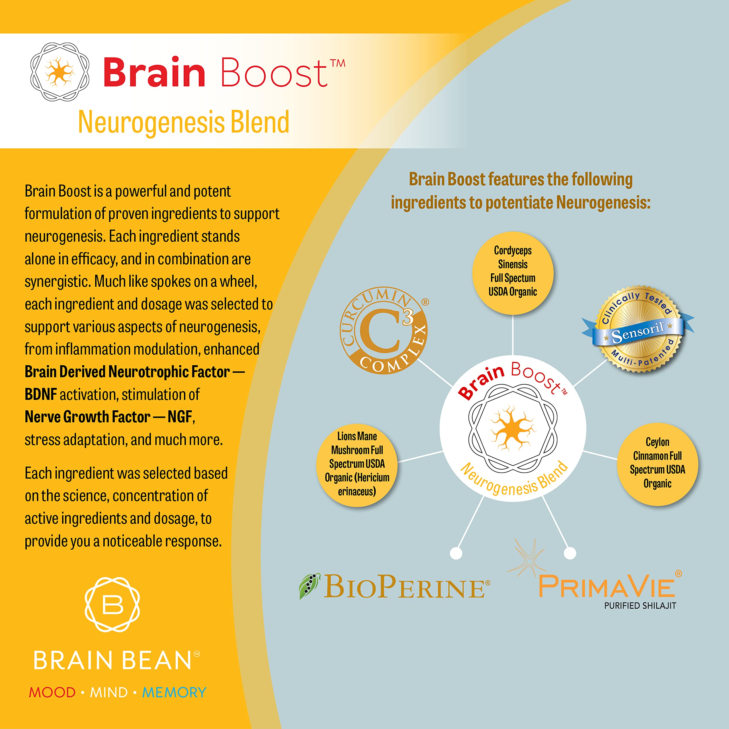 Brain Bean Brain-Boost (Formerly Brain Boost) - Mood, Mind & Memory Support
